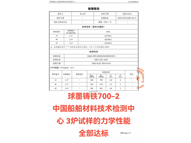 檢測報告